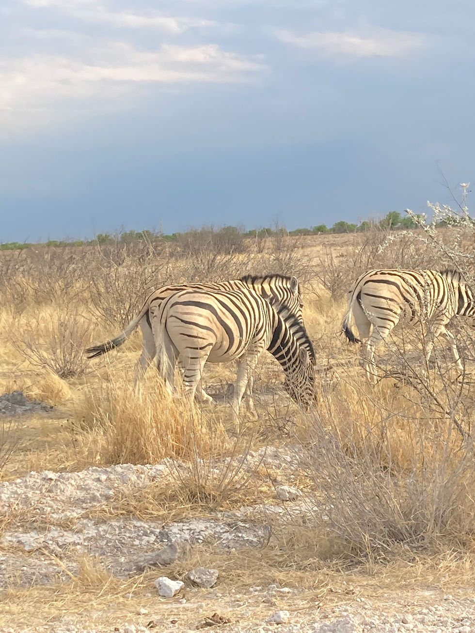 Thumbnail: In and Around the Heart of Namibia - 12 Days