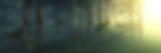 eerie forest background.jpg