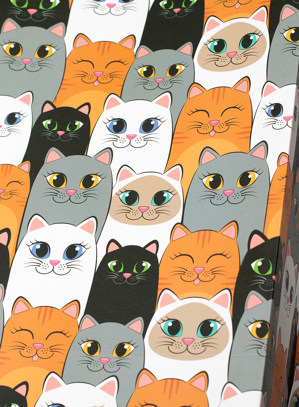 Thumbnail: Feline Fun Zone