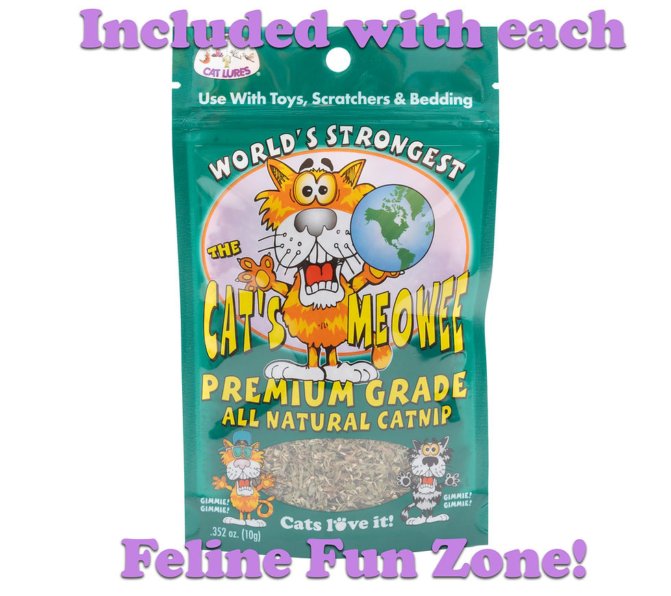 Thumbnail: Feline Fun Zone