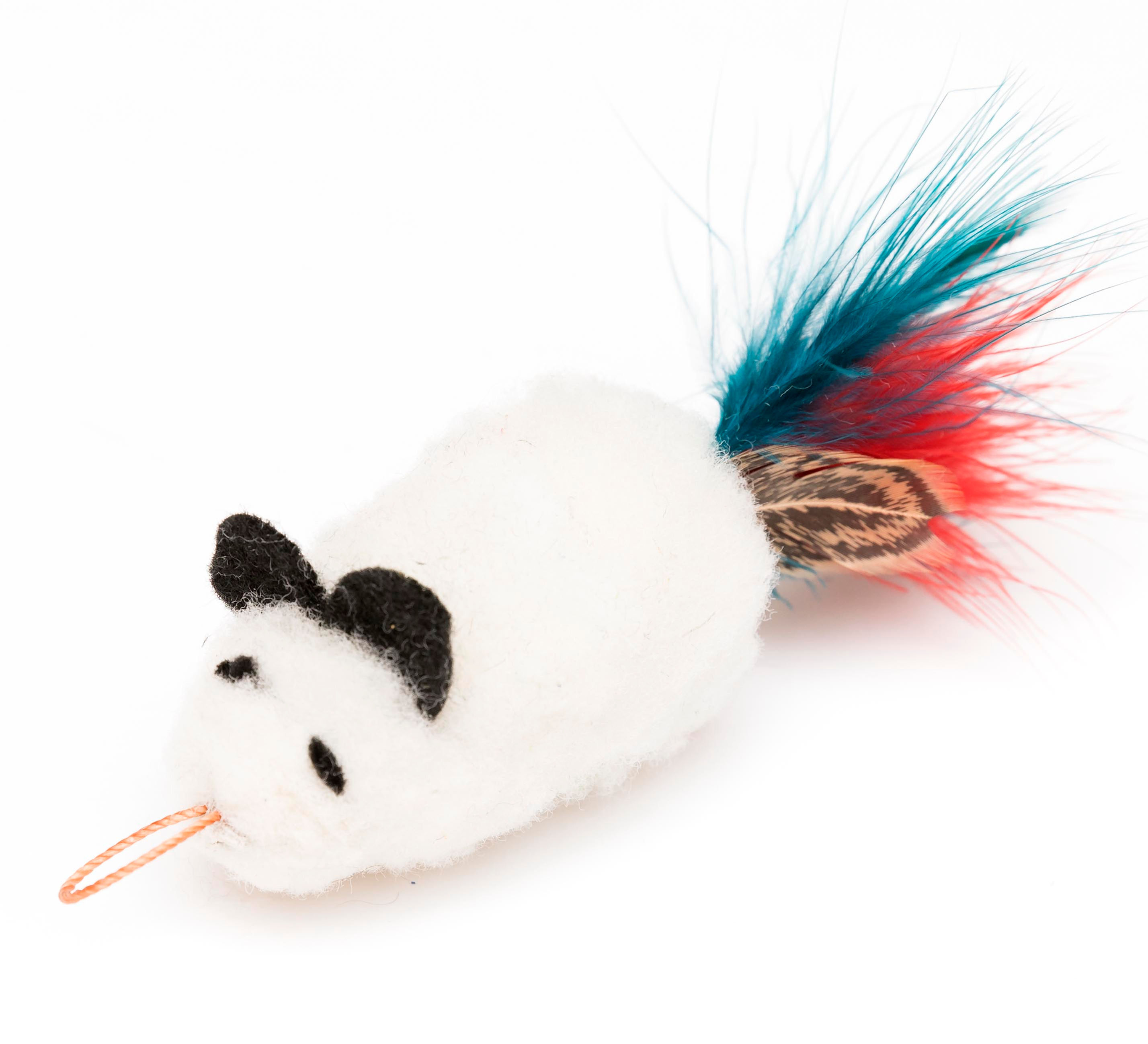 Wooly Feather Mouse
