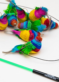 PrideBirdieWRod.jpg