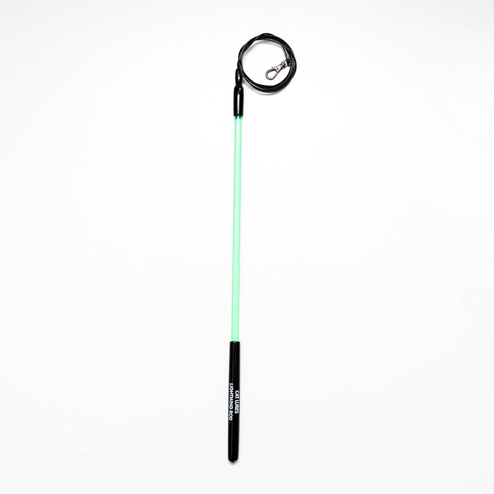 Thumbnail: Mini Lightning Rod