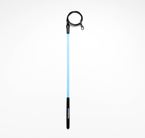 Mini Lightning Rod | Chris the Cat