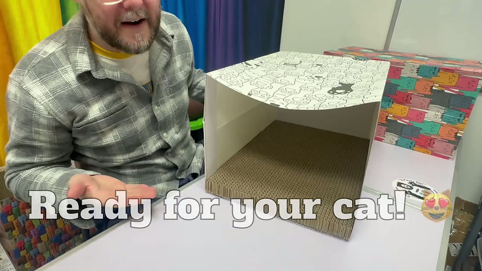 Thumbnail: Feline Fun Zone