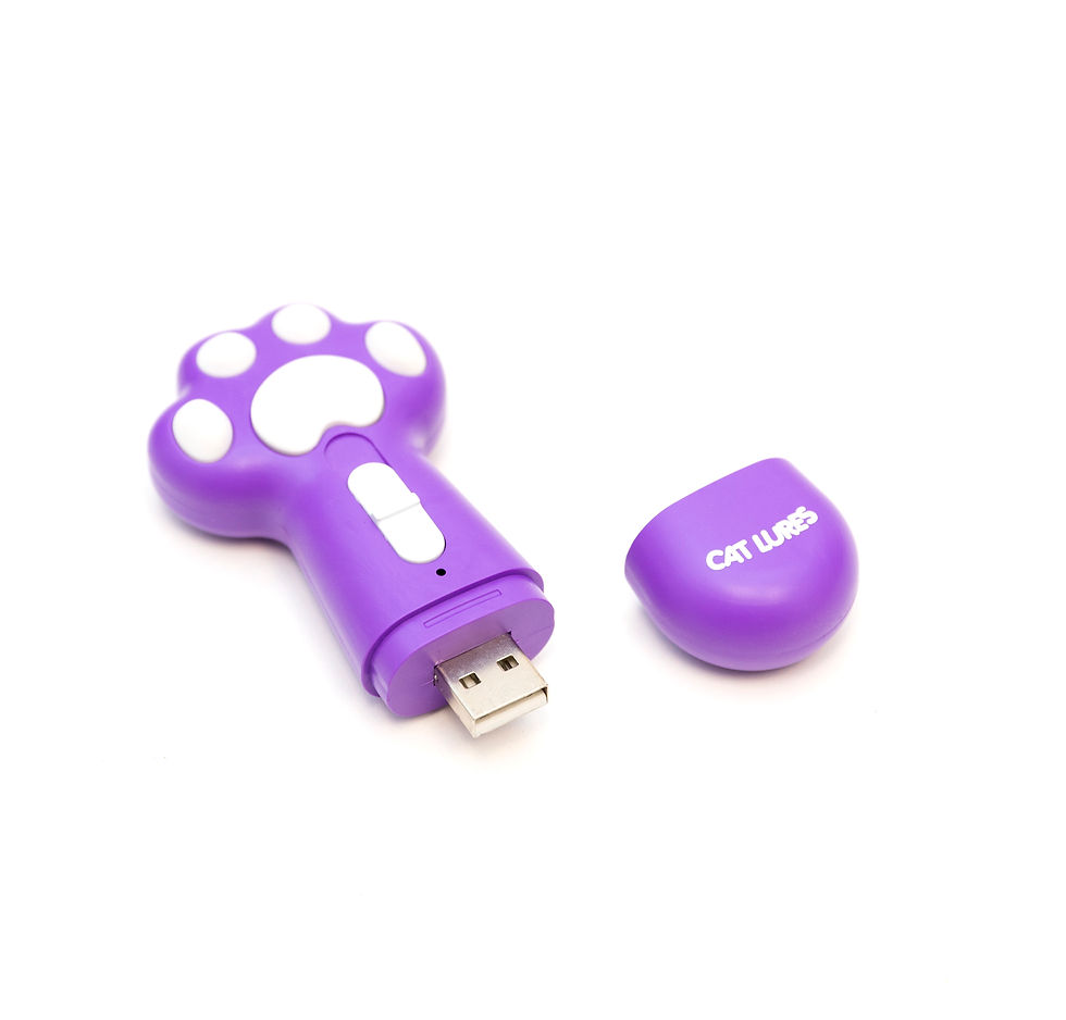 Thumbnail: 3 in 1 USB Cool Cat Laser by Cat Lures