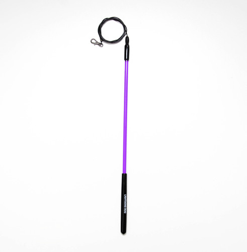 Mini Lightning Rod | Chris the Cat