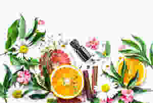 White Tea in Skincare and how it Protects your Skin
