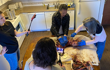 Preparing and preserving country food