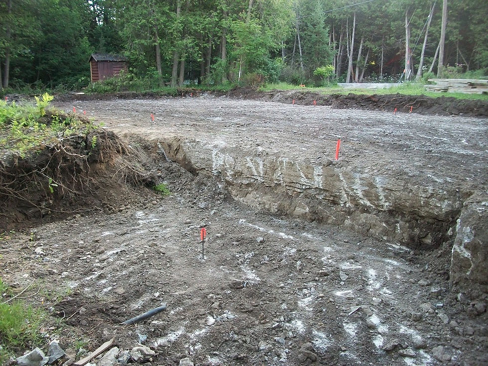 House Dig