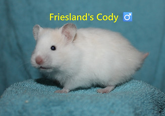 2. Cody.JPG
