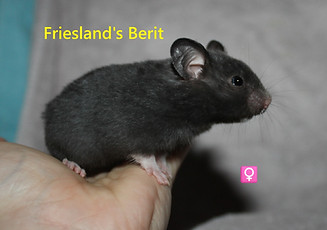 9. Berit.JPG