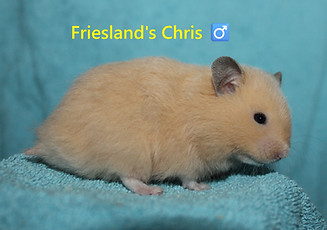 1. Chris.JPG