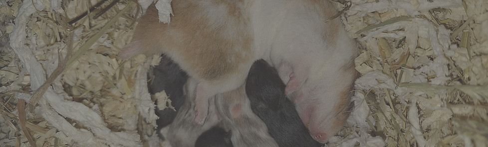 mama en kids_edited.jpg