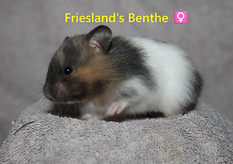 15. Benthe.JPG