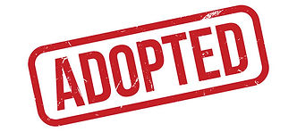 adopte-ddog-rescue-fort-pierce-florida.jpg