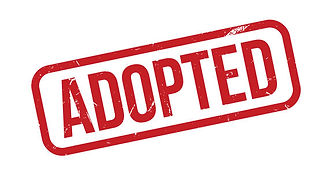 adopte-ddog-rescue-fort-pierce-florida.jpg