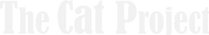 the-cat-project-fl_edited.png