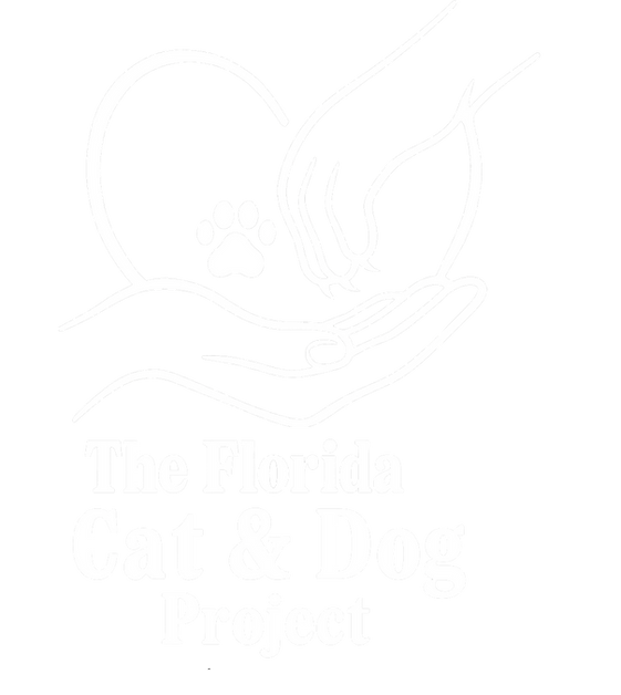 white-logo-cat-project.png
