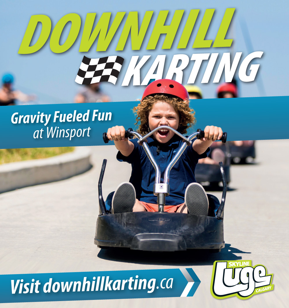 Skyline Luge