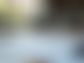 Cheryl Bertics: Innovative Marketing Strategies