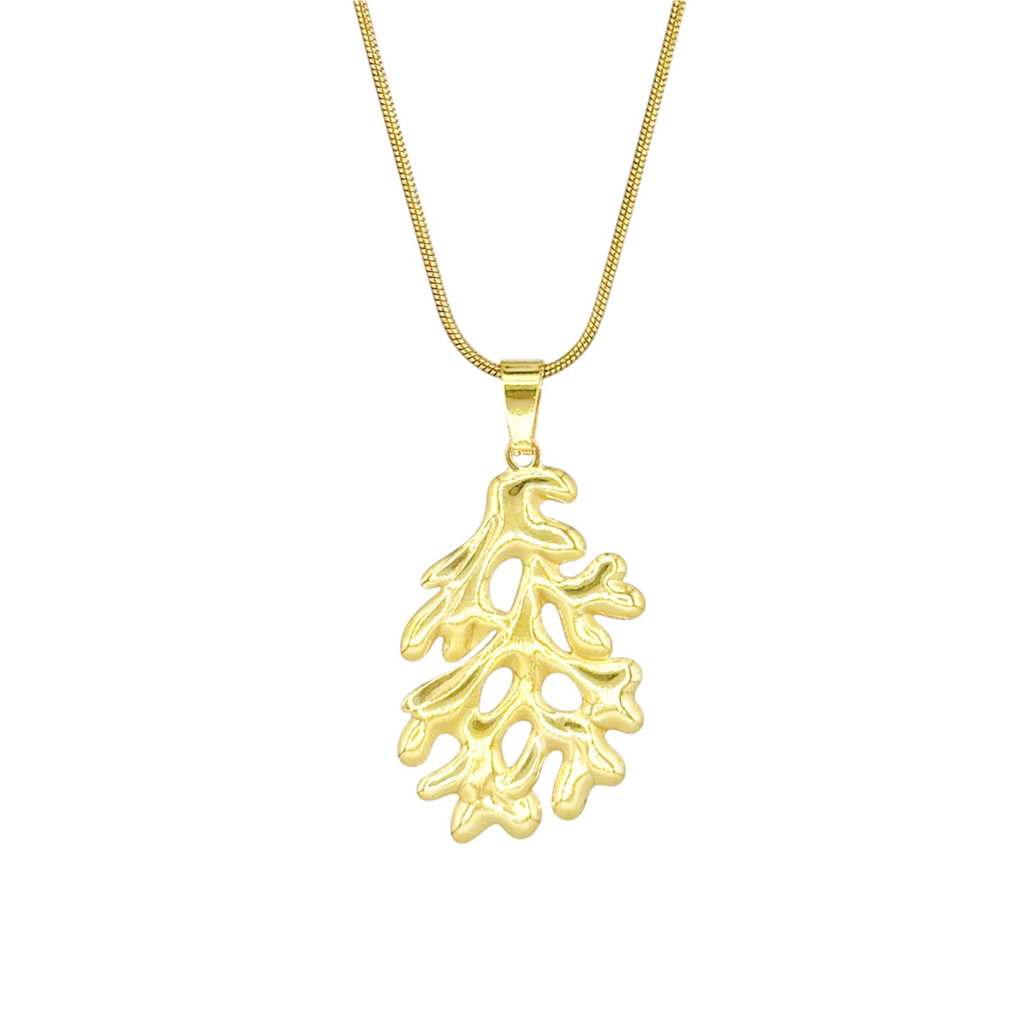 The Coral + Round Snake Chain