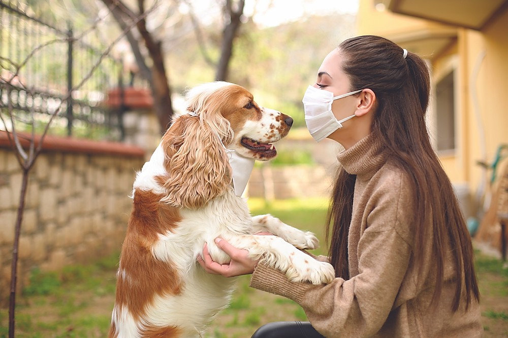 Proper caring for your pets | Covid19