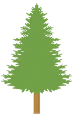 tree.webp