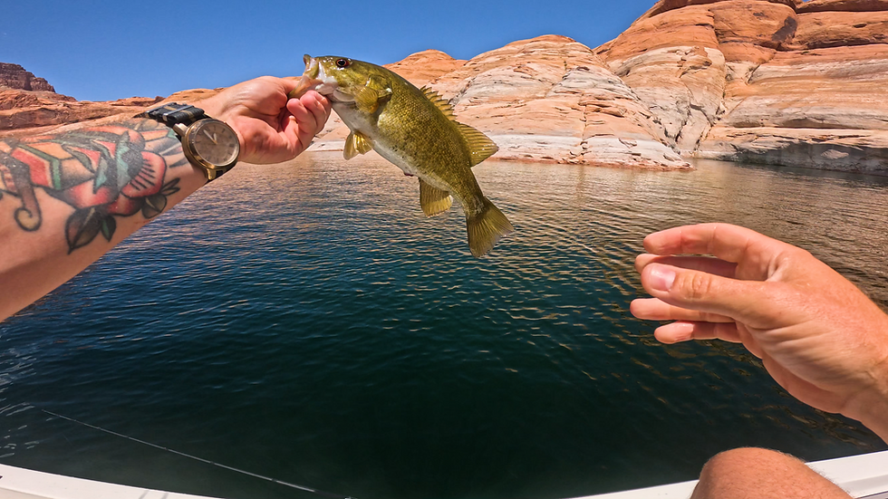 Gear list for my remote camping trip to Lake Powell
