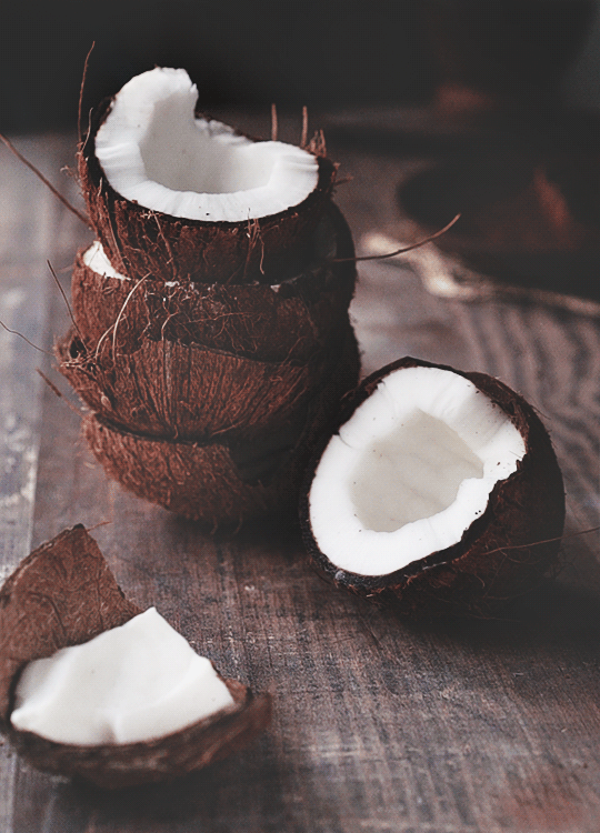 ''Descubriendo las Maravillas del Coco''