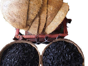 Carbón Activado de Cáscara de Coco (Beneficios y Usos)