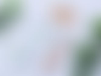 Orígenes y composición del colágeno