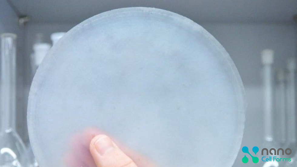 ¿Qué es la nanocelulosa bacteriana?