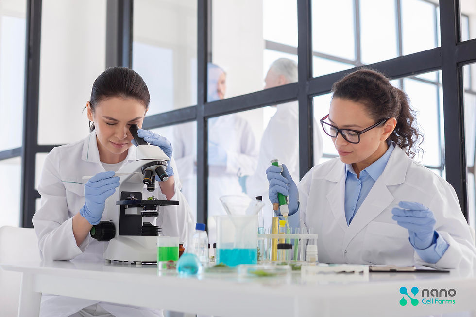 Innovaciones en Nanocelulosa para el Tratamiento de Agua