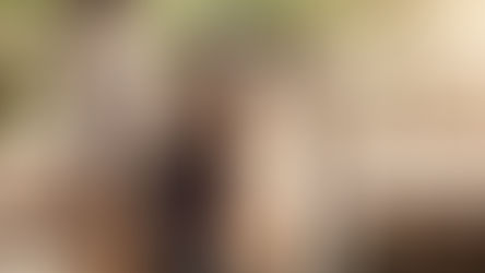 Mejorando la calidad de vida de nuestros compañeros de mayor confianza con PETAGILE®