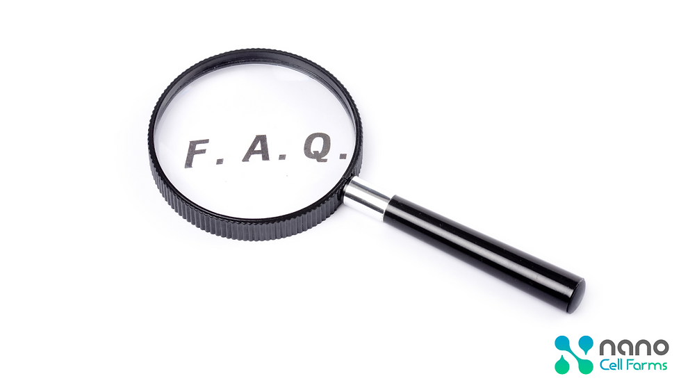 Preguntas Frecuentes (FAQs)