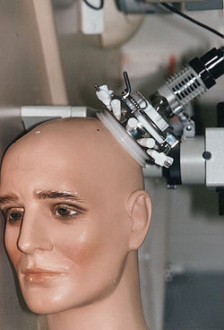 Pictures from Meyerson 021