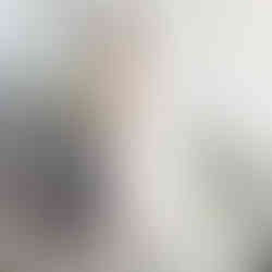 Bride standing on stairs with full length veil.