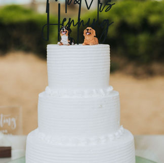 Wedding cake with two dogs on top.