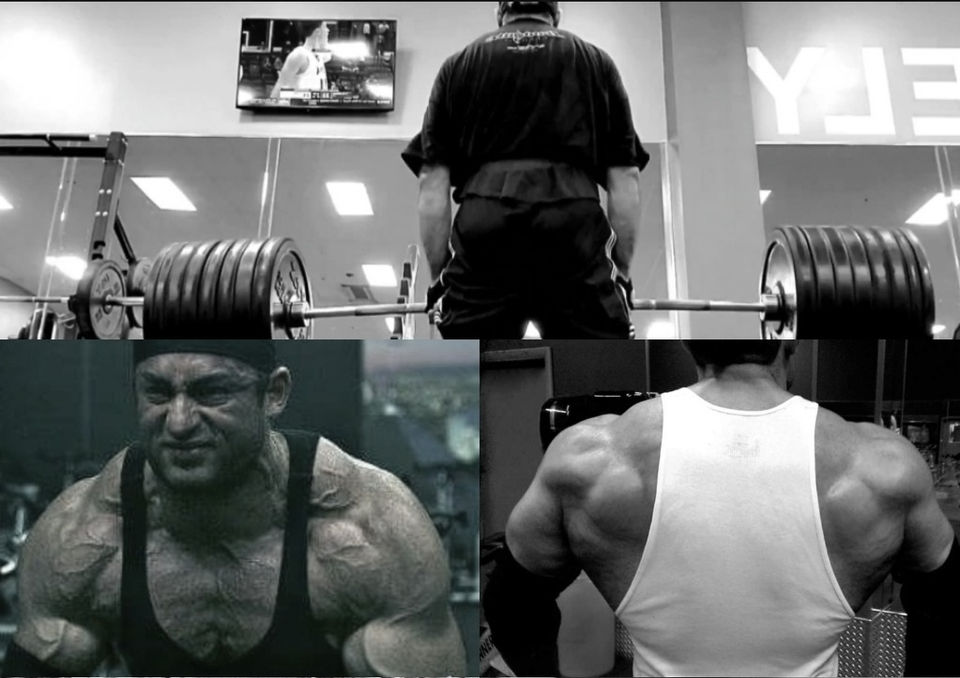 About Me Collage Maurice Vasco_edited_edited.jpg