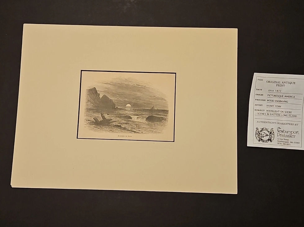Thumbnail: 1872 Picturesque America Original Antique Print 12x16 Eastern Long Island