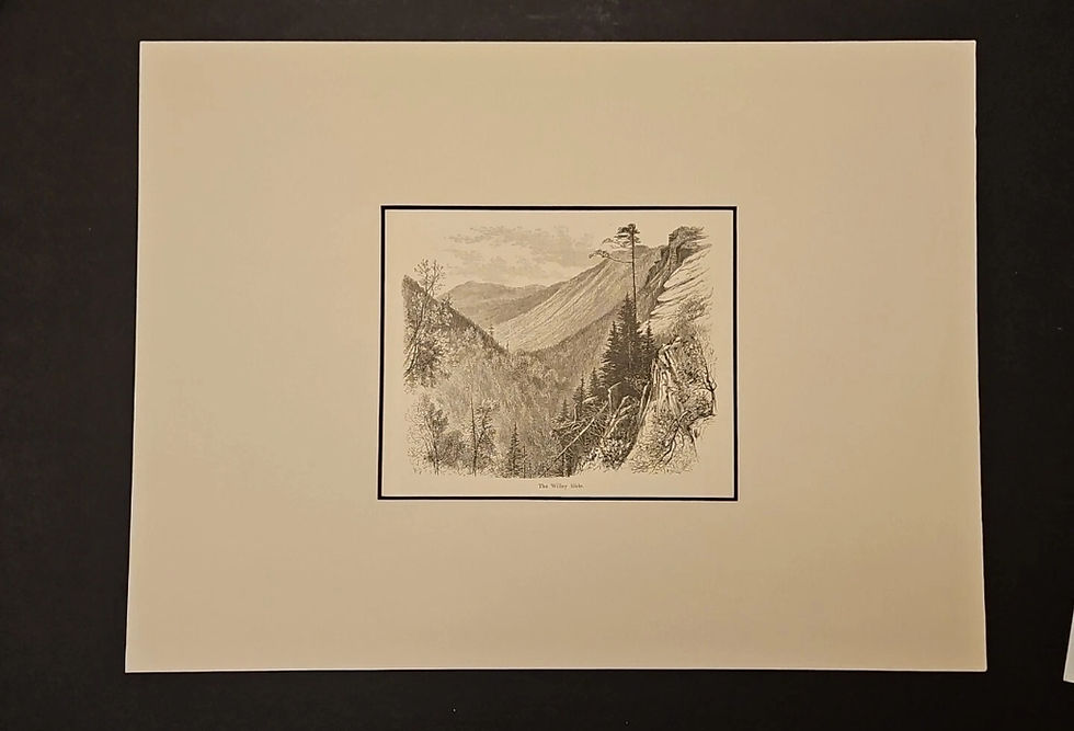 Thumbnail: 1872 Picturesque America Original Print 12x16 Willey Slide White Mountains NH