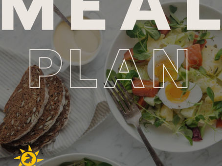 Pregnancy Nutrition Plan