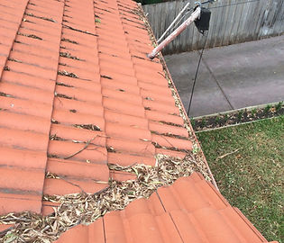 Gutter clean