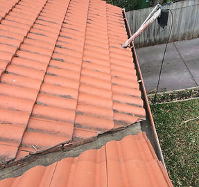 Gutter clean