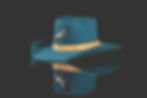 chapeau cowboy teal