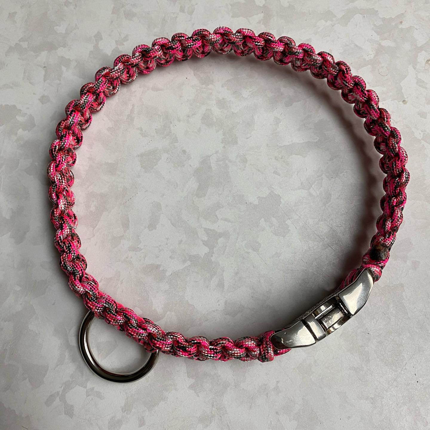 Dog Collars & Leashes (Cost varies per size)