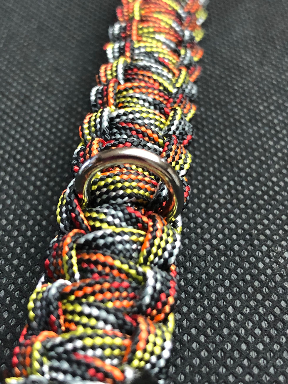 Thumbnail: Break-Away Cat Collar