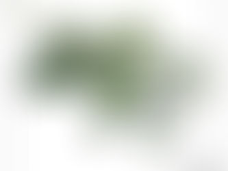 Cartoon for Chronicle Herald