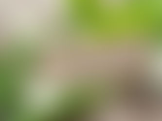 What Is Ayurveda? - Plus Its Many Health and Wellbeing Benefits For You